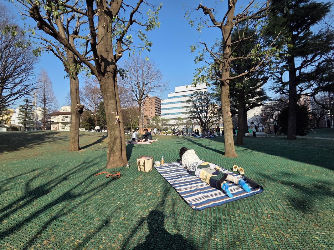 荒川フォト 都会のオアシス
