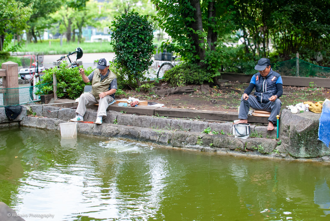 荒川 荒川公園
