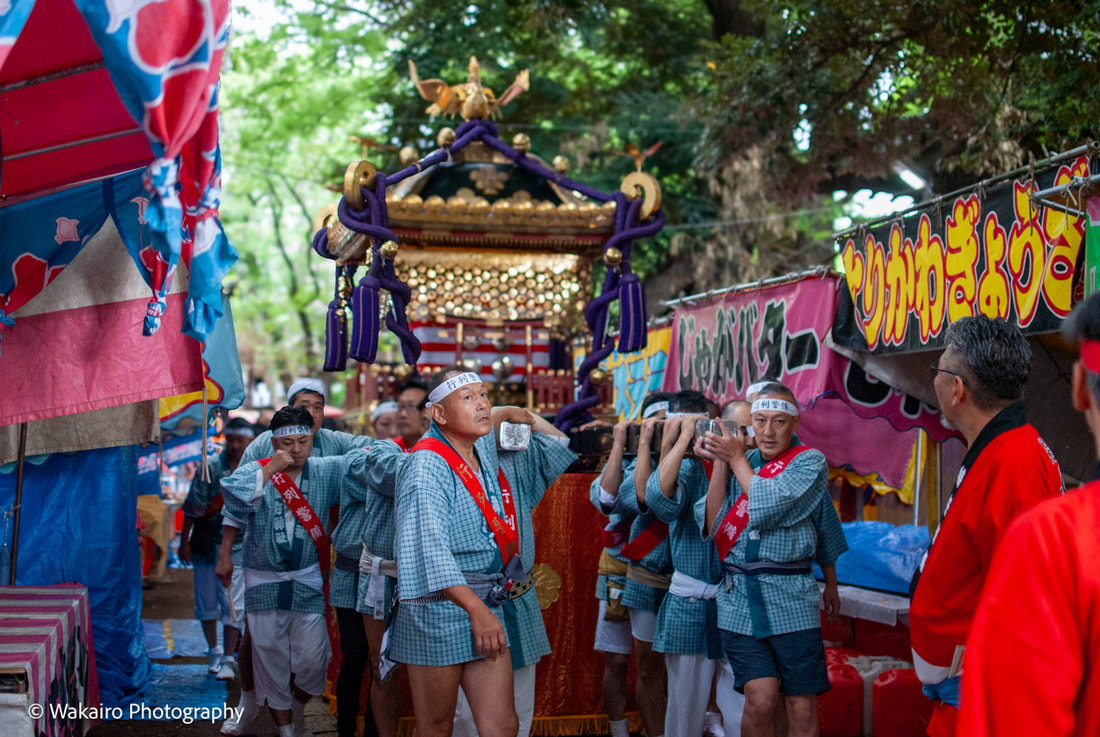 2026年 諏訪神社 例大祭 本社神輿渡御