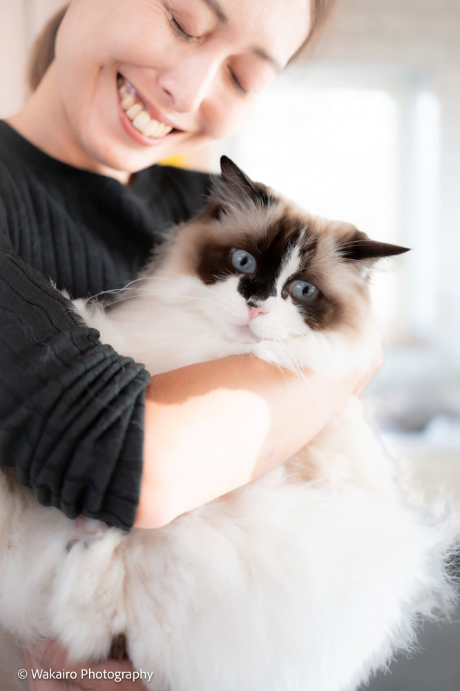 荒川区 台東区 文京区 ペット 写真撮影