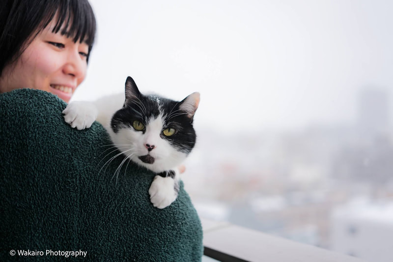 人 ペット 写真撮影