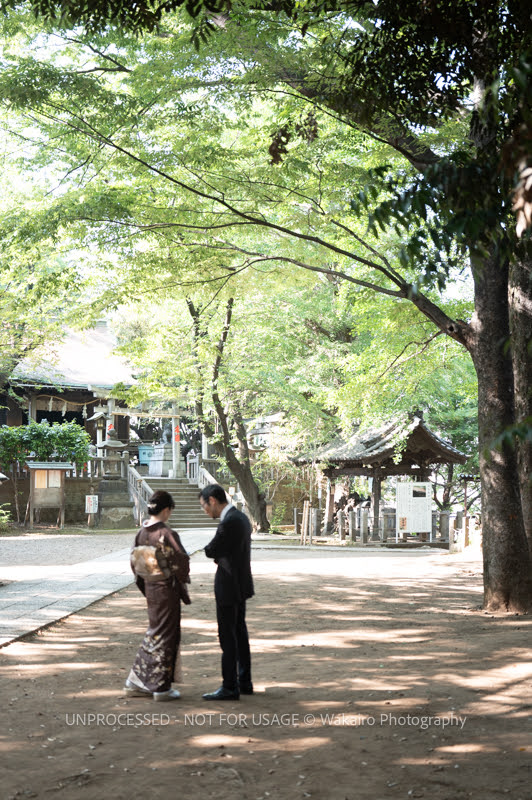 荒川フォト 諏訪神社